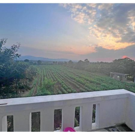 Hari Homestay, Garudeshwar Eksteriør bilde